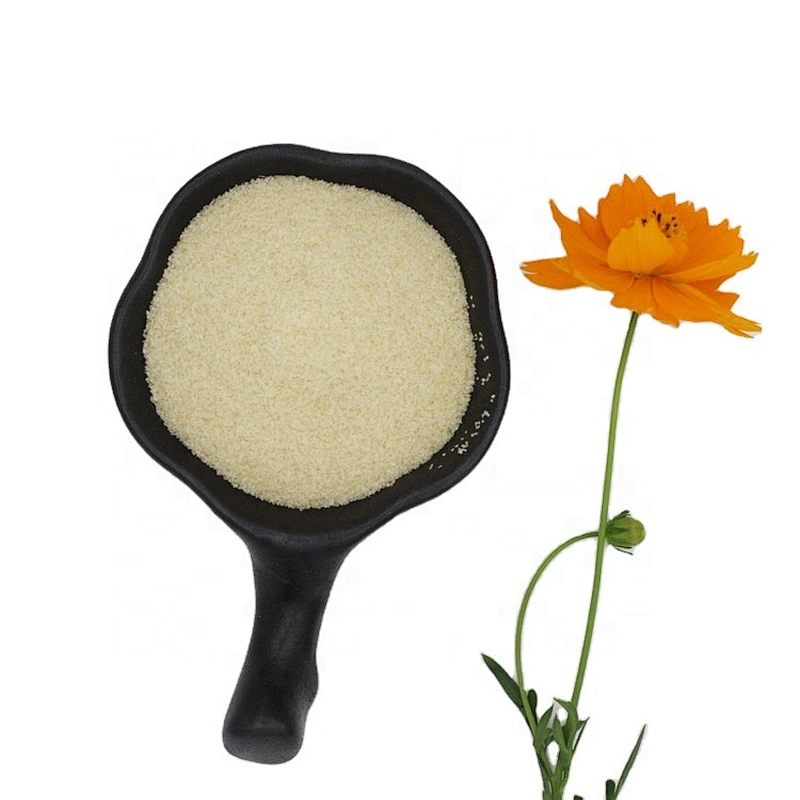 Wholesales Industrial Animal Glue Technical Gelatin 80 -260 Bloom